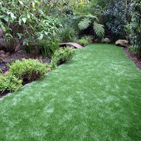 Plastic Grass Paradise Park, California Lawns, Backyard Ideas