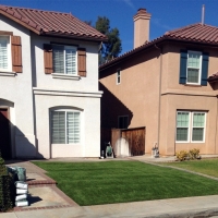 Plastic Grass Soulsbyville, California Landscape Ideas, Front Yard Landscaping Ideas