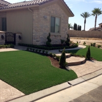 Plastic Grass Stevinson, California Roof Top, Front Yard Landscape Ideas