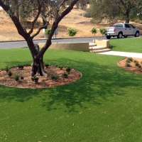 Synthetic Grass Arvin, California Landscape Design, Front Yard