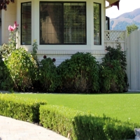 Synthetic Grass Camino, California Lawn And Garden, Front Yard Landscaping Ideas