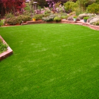 Synthetic Grass Cost Santa Clara, California Lawn And Landscape, Backyard Designs