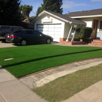 Synthetic Grass Pittsburg, California Backyard Deck Ideas, Front Yard