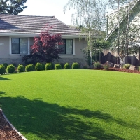 Synthetic Grass San Miguel, California Rooftop, Front Yard Landscape Ideas