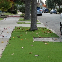 Synthetic Lawn Lost Hills, California Backyard Playground, Front Yard Landscaping