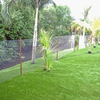 Synthetic Lawn Prunedale, California Gardeners, Backyard Landscaping Ideas