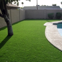 Synthetic Lawn Volcano, California Garden Ideas, Natural Swimming Pools