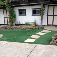 Synthetic Turf Supplier Castro Valley, California Garden Ideas, Front Yard Ideas