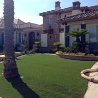 Synthetic Turf Supplier Tres Pinos, California Garden Ideas, Front Yard Landscaping Ideas