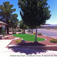 Synthetic Turf Tarpey Village, California Design Ideas, Front Yard