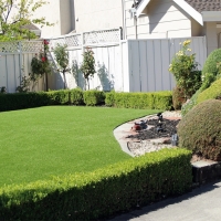 Turf Grass Poplar-Cotton Center, California Rooftop, Front Yard Ideas