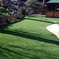 Turf Grass Ripon, California Roof Top, Backyard Design