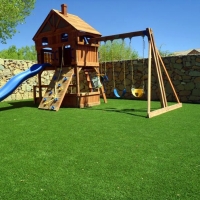 Turf Grass Taft Mosswood, California Rooftop, Small Backyard Ideas