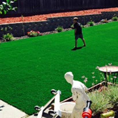 Artificial Grass Carpet East Foothills, California Home And Garden, Backyard Design