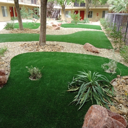 Artificial Grass Carpet Freedom, California Landscaping, Commercial Landscape