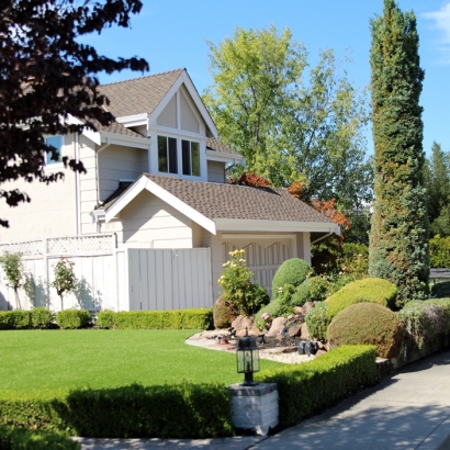 Artificial Grass Carpet Fremont, California Landscaping Business, Front Yard