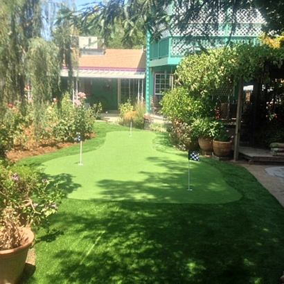 Artificial Grass Carpet Grangeville, California Gardeners