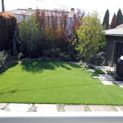 Artificial Grass Carpet Morada, California Landscaping, Backyards