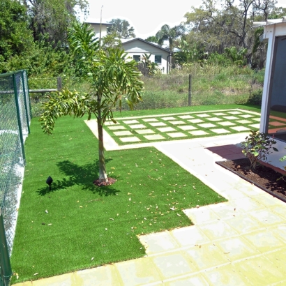 Artificial Grass Carpet Stratford, California Landscape Ideas, Backyards