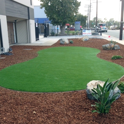 Artificial Grass Lindsay, California Design Ideas, Commercial Landscape