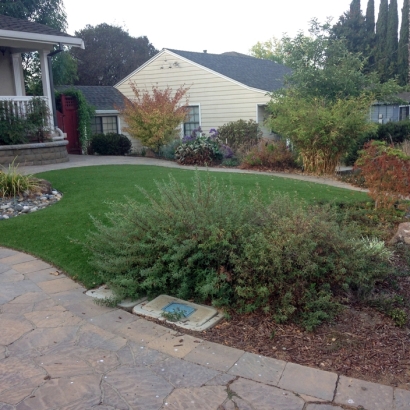 Artificial Grass San Joaquin, California City Landscape, Front Yard Landscaping Ideas