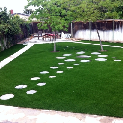 Artificial Lawn Cressey, California Landscaping Business, Backyard Landscaping