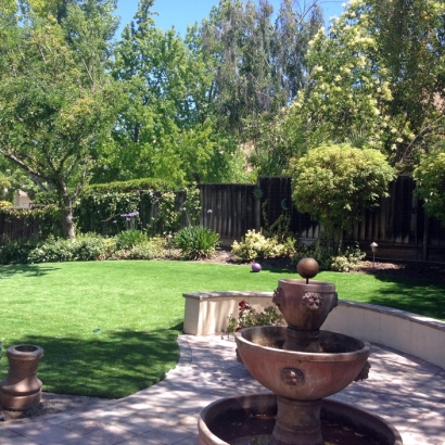 Artificial Lawn Dos Palos, California Roof Top, Beautiful Backyards