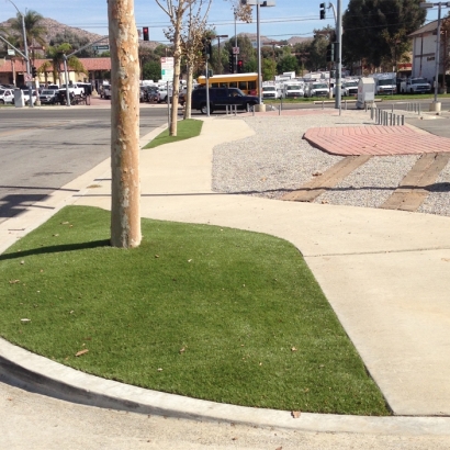 Artificial Lawn Parksdale, California Landscaping, Commercial Landscape