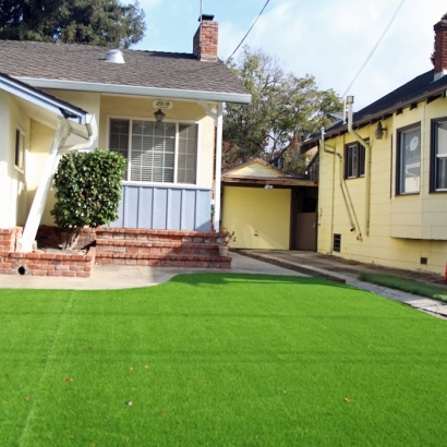 Artificial Lawn Springville, California Landscape Ideas, Landscaping Ideas For Front Yard