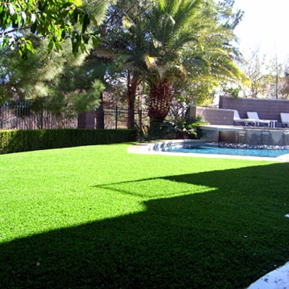 Artificial Lawn Tulare, California Gardeners, Backyard Landscaping