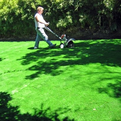 Artificial Turf Cost Courtland, California Rooftop, Backyard