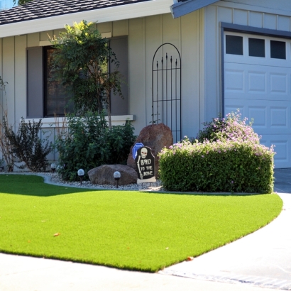 Artificial Turf Cost Davenport, California Gardeners, Front Yard Landscape Ideas