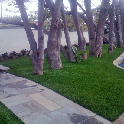 Artificial Turf Cost Ione, California Landscape Photos, Landscaping Ideas For Front Yard