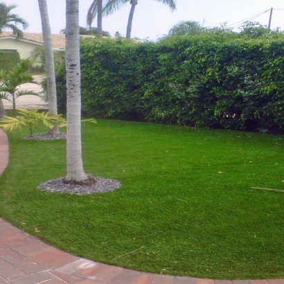 Artificial Turf Del Rio, California Landscape Photos, Front Yard Landscaping Ideas