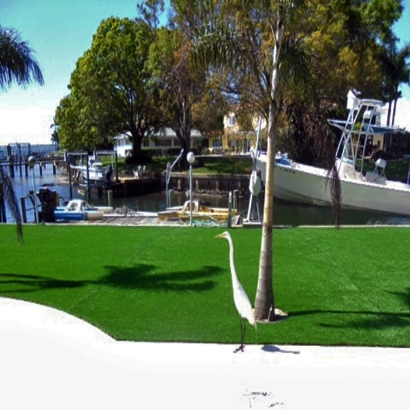 Artificial Turf Installation Minkler, California Landscape Photos, Backyard Ideas