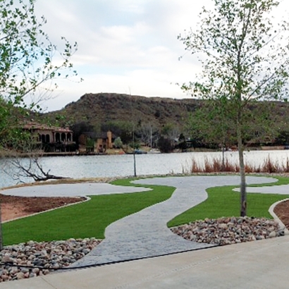 Artificial Turf Reedley, California Lawn And Garden