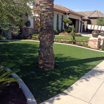 Artificial Turf Springville, California Landscape Design, Front Yard Ideas