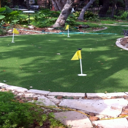 Best Artificial Grass Avenal, California Landscaping, Small Backyard Ideas