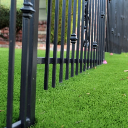 Best Artificial Grass Cedar Ridge, California Roof Top, Front Yard Ideas