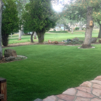 Best Artificial Grass Riverbank, California Lawns, Front Yard Landscape Ideas