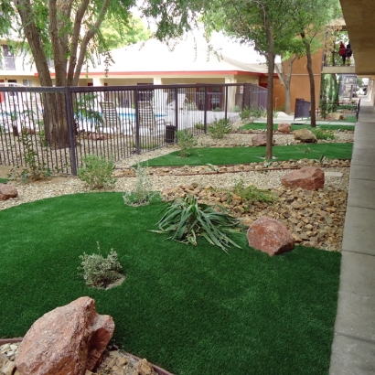 Fake Grass Carpet Auberry, California Landscaping, Commercial Landscape