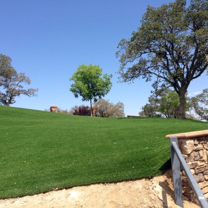 Fake Grass Carpet Greenfield, California Lawns, Landscaping Ideas For Front Yard