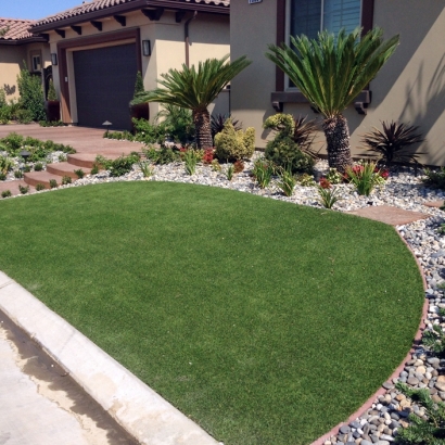 Fake Grass Carpet King City, California Home And Garden, Front Yard Landscape Ideas