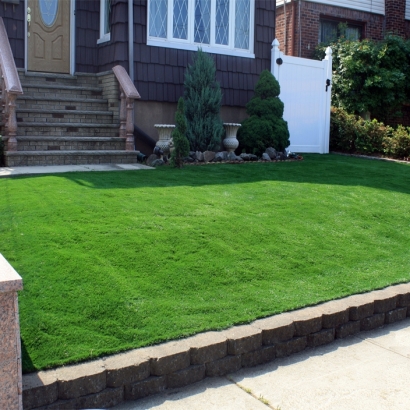 Fake Grass Garden Farms, California Landscaping Business, Front Yard