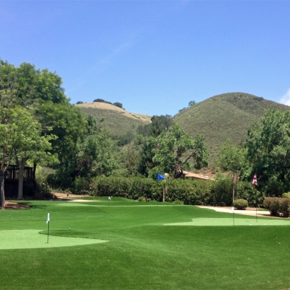 Fake Grass June Lake, California Golf Green, Front Yard Landscape Ideas