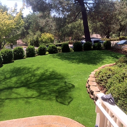 Fake Grass Sultana, California Paver Patio, Backyard Designs