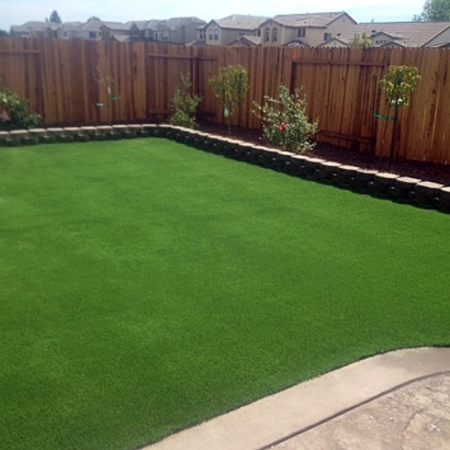 Fake Lawn Auberry, California Lawn And Landscape, Backyard Landscape Ideas