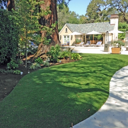 Fake Lawn Bret Harte, California Gardeners, Commercial Landscape