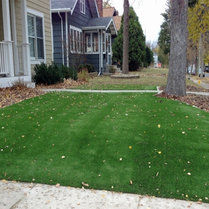 Fake Lawn Long Barn, California Landscaping Business, Front Yard Landscaping Ideas