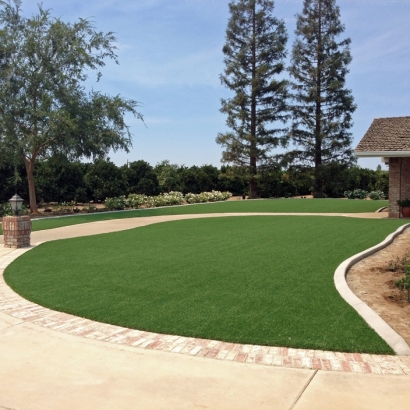 Fake Lawn Pine Grove, California Landscaping Business, Front Yard